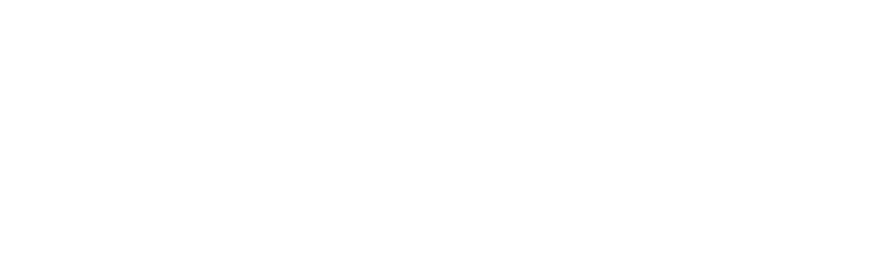 Palaz Strategy & Design